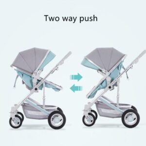 baby stroller 2-way push